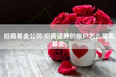 招商基金公司(招商证券的账户怎么买卖基金)