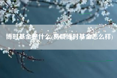 博时基金是什么(葛晨博时基金怎么样)