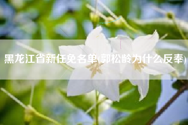 黑龙江省新任免名单(郭松龄为什么反奉)