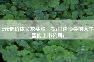 2元低价成长龙头股一览(国内顶尖的人工智能上市公司)
