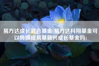 易方达成长混合基金(易方达科翔基金可以转换成易基新兴成长基金吗)