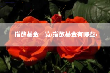 指数基金一览(指数基金有哪些)