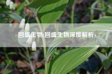 回盛生物(回盛生物深度解析)