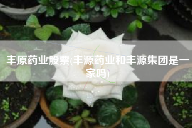 详细阅读:丰原药业股票(丰源药业和丰源集团是一家吗) 丰原药业股票(丰源药业和丰源集团是一家吗)