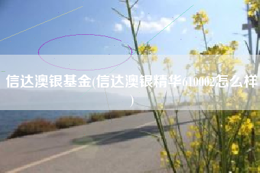 信达澳银基金(信达澳银精华610002怎么样)