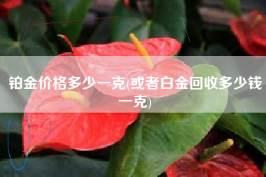 铂金价格多少一克(或者白金回收多少钱一克)