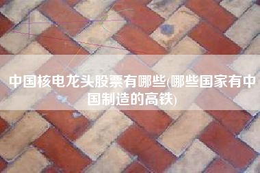 中国核电龙头股票有哪些(哪些国家有中国制造的高铁)