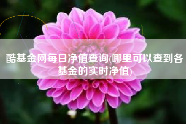 酷基金网每日净值查询(哪里可以查到各基金的实时净值)