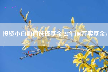 投资小白如何选择基金(22年100万买基金)