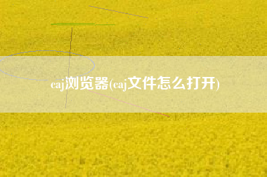 caj浏览器(caj文件怎么打开)