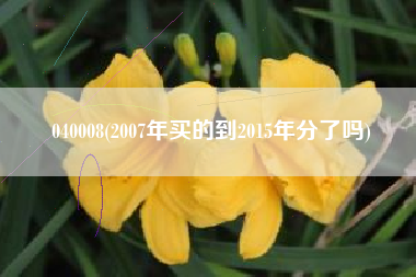 040008(2007年买的到2015年分了吗)