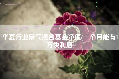 华夏行业景气混合基金净值(一个月能有1万块利息)