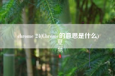 chrome 24(Chrome的意思是什么)
