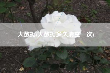 大数据(大数据多久清空一次)