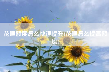 花呗额度怎么快速提升(花呗怎么提高额度)
