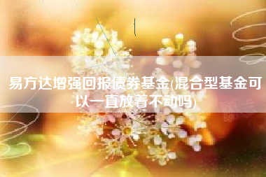 易方达增强回报债券基金(混合型基金可以一直放着不动吗)