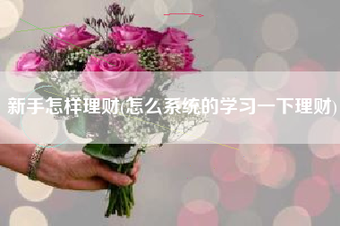 新手怎样理财(怎么系统的学习一下理财)