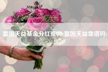 富国天益基金分红查询(富国天益靠谱吗)