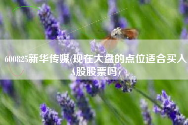600825新华传媒(现在大盘的点位适合买入A股股票吗)