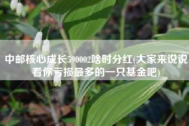 中邮核心成长590002啥时分红(大家来说说看你亏损最多的一只基金吧)