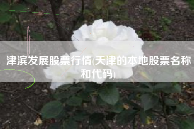 津滨发展股票行情(天津的本地股票名称和代码)