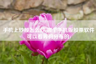 手机上炒股怎么炒(哪个手机版股票软件可以看筹码分布的)
