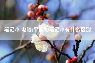 笔记本 电脑(平板和笔记本有什么区别)