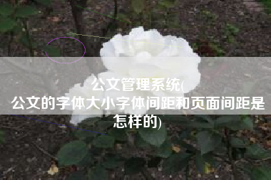公文管理系统(
公文的字体大小字体间距和页面间距是怎样的) 公文管理系统(
公文的字体大小字体间距和页面间距是怎样的)
