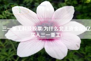 三一重工科技股票(为什么北上资金花9亿买入三一重工)