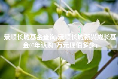 景顺长城基金查询(景顺长城新兴成长基金07年认购1万元现值多少)