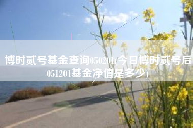 博时贰号基金查询050201(今日博时贰号后051201基金净值是多少)