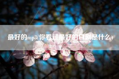 最好的mp3(你看过最好的日剧是什么)