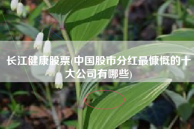 长江健康股票(中国股市分红最慷慨的十大公司有哪些)