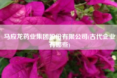马应龙药业集团股份有限公司(古代企业有哪些)