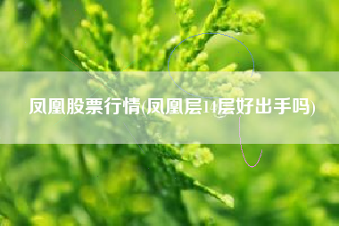 凤凰股票行情(凤凰层14层好出手吗)