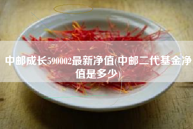 中邮成长590002最新净值(中邮二代基金净值是多少)