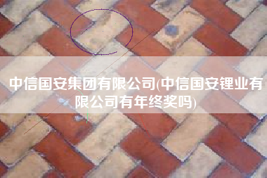 中信国安集团有限公司(中信国安锂业有限公司有年终奖吗)