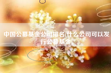 中国公募基金公司排名(什么公司可以发行公募基金)