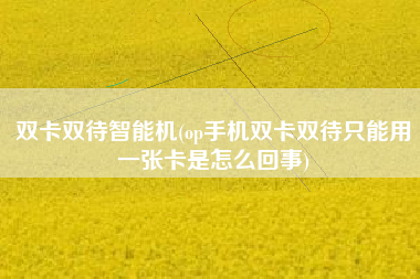 双卡双待智能机(op手机双卡双待只能用一张卡是怎么回事)