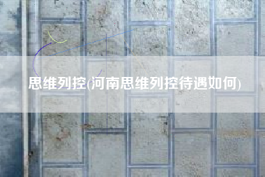 思维列控(河南思维列控待遇如何)