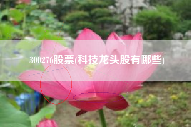 300276股票(科技龙头股有哪些)