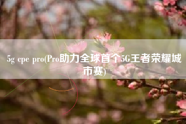 5g cpe pro(Pro助力全球首个5G王者荣耀城市赛)