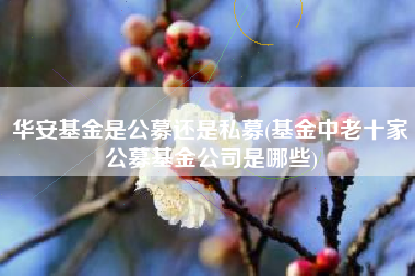 华安基金是公募还是私募(基金中老十家公募基金公司是哪些)