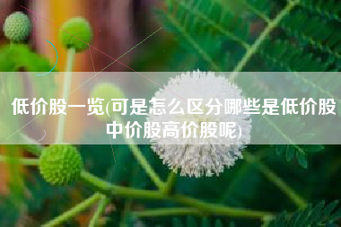 低价股一览(可是怎么区分哪些是低价股中价股高价股呢)