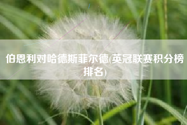 伯恩利对哈德斯菲尔德(英冠联赛积分榜排名)