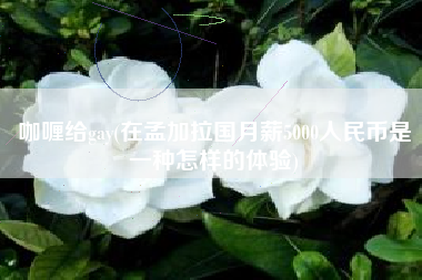 咖喱给gay(在孟加拉国月薪5000人民币是一种怎样的体验)