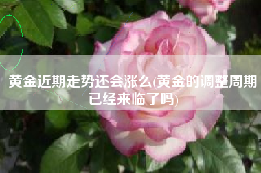 黄金近期走势还会涨么(黄金的调整周期已经来临了吗)