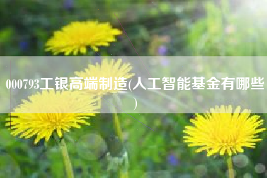 000793工银高端制造(人工智能基金有哪些)