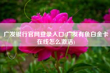 广发银行官网登录入口(广发有鱼白金卡在线怎么激活)