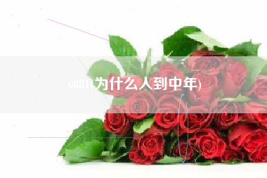 v881(为什么人到中年)